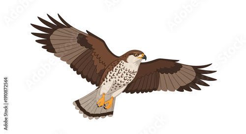 Majestic Buzzard in Flight Stunning Wildlife Illustration for Nature and Freedom Themes