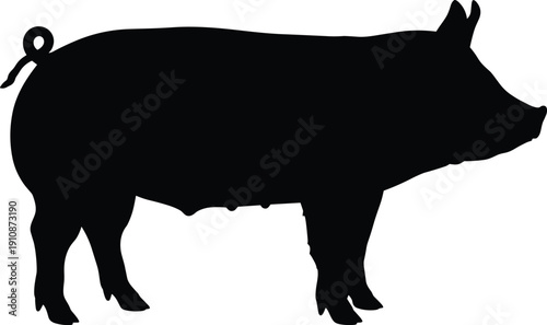 Pig silhouette vector icon, farm animal black isolated on white background, standing hog side view, nature agriculture livestock graphic design element symbol, pork meat.