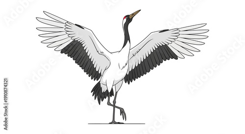 Elegant Red Crowned Crane Spreading Wings in Graceful Pose Vector Illustration