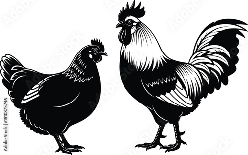 Detailed black silhouette of a rooster and a hen standing together isolated on white background for poultry farming agricultural and rural landscape design concepts