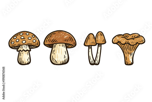 A hand-drawn illustration featuring four distinct types of mushrooms arranged in a row against a solid black background. The artwork uses earthy brown and tan tones with a vintage sketch style.
