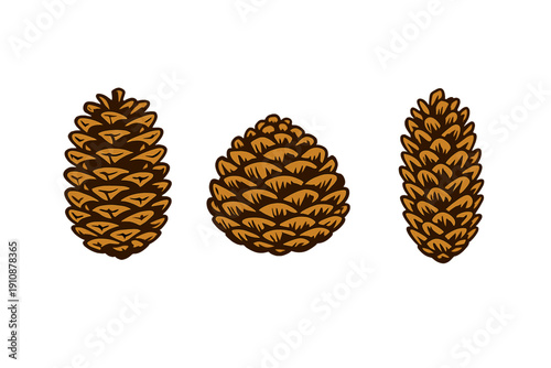 Three stylized brown pine cones of various shapes are arranged horizontally against a solid black background. The graphic illustration features a woodcut style with bold outlines.