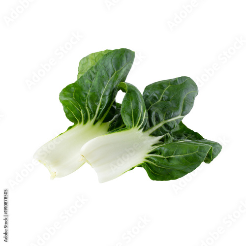 Obraz na plátně Lettuce leaves isolated on a transparent background
