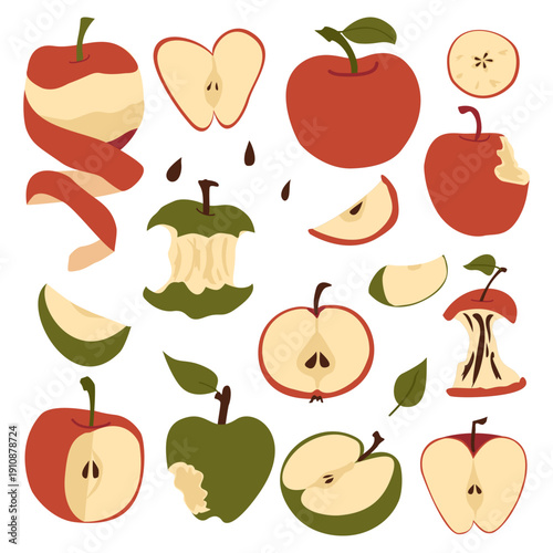 Apple vector set with slices cores and halves