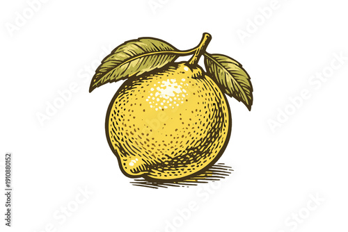 A vintage-style illustration of a whole yellow lemon with two green leaves attached to its stem, set against a solid black background in a classic woodcut engraving aesthetic.