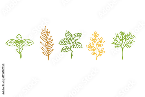 A row of five hand-drawn herb sprigs in green and orange colors against a solid black background. The illustration features stylized leaves of basil, rosemary, mint, thyme, and dill.