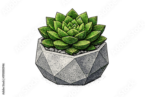 A vibrant green succulent rosette is planted in a faceted grey stone pot filled with small pebbles, set against a stark black background in this detailed illustration.