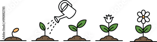 Plant growth stages illustration, seed to flower process, eco farming design, nature development artwork, educational agriculture infographic set