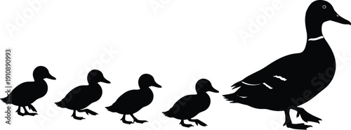 Silhouette of mother duck with ducklings walking set isolated on white background for nature design elements wildlife vector illustration pond animal family collection graphics