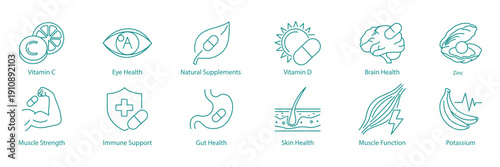 Vitamin, Anatomy, and Body Function Vector Line Icons