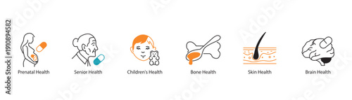 Human Health and Life Stages Icons. Vector Line Symbols for Prenatal, Senior, and Anatomy.