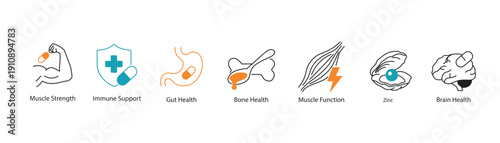 Body Function and Immunity Icons. Vector Line Set for Muscle, Digestion, and Brain Health.