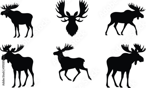 Collection of black moose silhouettes including bull moose with large antlers and running elk icons isolated on white background for hunting nature and wilderness design