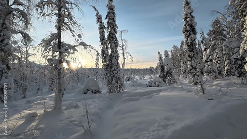 POV Winter Hiking in Finnish Lapland National Park With Sun Flare and Snowy Trees