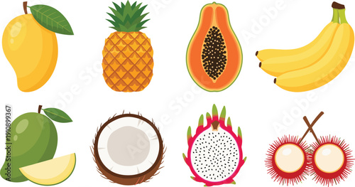 Tropical fruit collection vector illustration set mango pineapple papaya banana coconut dragonfruit rambutan fresh exotic healthy food