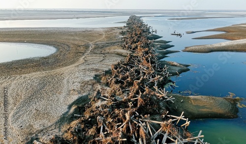 An aerial view shows wooden erosion-control structures and debris exposed along the Brahmaputra River in Majuli, Assam, as receding water levels during the dry season.