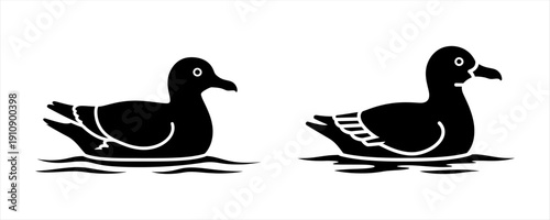 Modern vector illustration of two black ducks in serene water, symbolizing peaceful aquatic wildlife