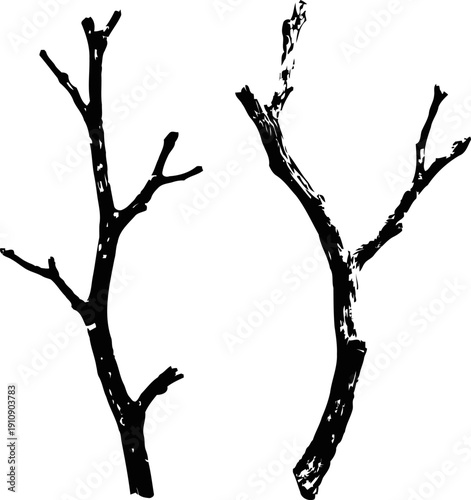 black silhouette of two bare tree branches isolated on white background, natural wood elements
