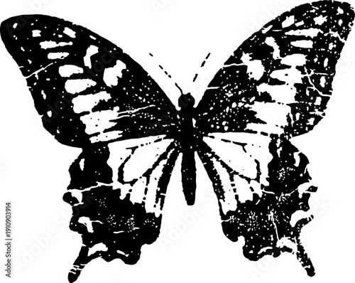 Black and white butterfly silhouette with detailed wing texture and symmetrical design