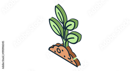 Small green plant growing from soil.