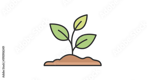 Small green plant in soil.