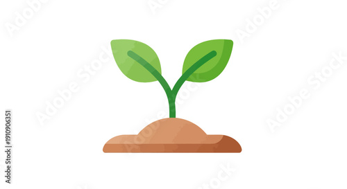 Small green plant growing in soil.