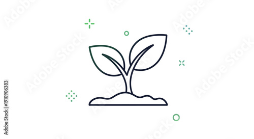 Small plant growing in soil.