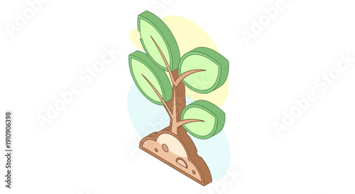 Small tree with green leaves growing.