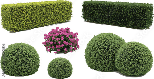 Set of realistic garden bushes, hedges and flowering shrubs isolated on white background for landscaping design, decoration, and illustration projects templates