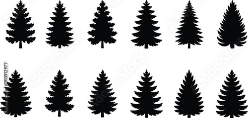 Collection of detailed pine tree silhouettes isolated on white background, evergreen forest conifer icons set for logo, design, nature branding and winter themes