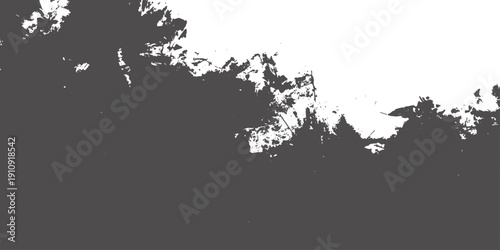 Abstract grunge black and white background featuring ink splat textures with floral silhouettes and a spray paint border design