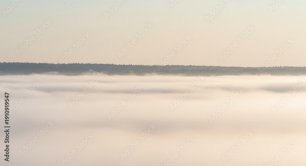 Obraz premium A thick layer of atmospheric phenomena creating a dense, pale, and mysterious backdrop across a vast distant landscape ,landscape ,weather ,density