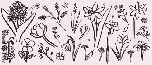 Cuadro en lienzo Grunge charcoal or chalk spring summer flower collection