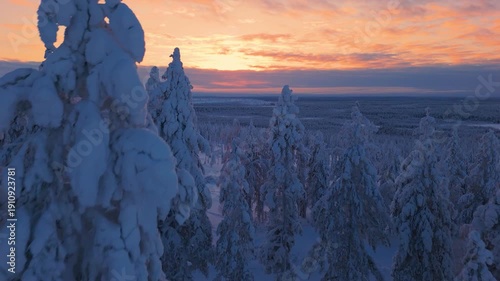 Plan aérien en drone de la Laponie en Finlande proche du cercle polaire en arctique au coucher de soleil