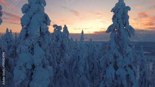 Plan aérien en drone de la Laponie en Finlande proche du cercle polaire en arctique au coucher de soleil