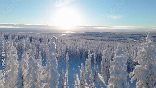 Plan aérien en drone de la Laponie en Finlande proche du cercle polaire en arctique.
