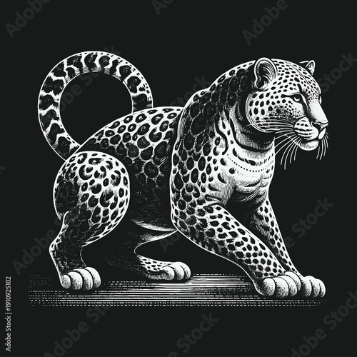 Monochrome leopard illustration with detailed spots and intense gaze.