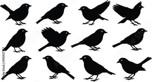Vector illustration of stylized black bird silhouettes, diverse flying and perched poses for creative design, decoration, branding, and artistic inspiration