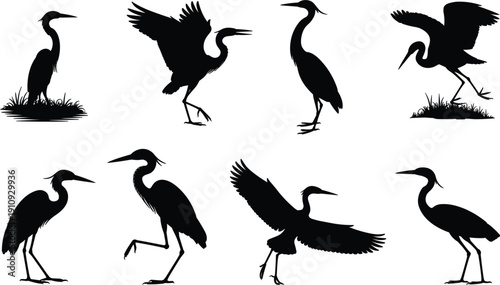Wild heron bird silhouette set, different egret and stork position