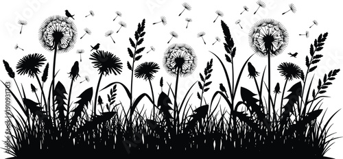 Set of black dandelion meadow silhouettes with flying seeds, birds, and grass for cad drawing flat vector illustration, floral nature background.