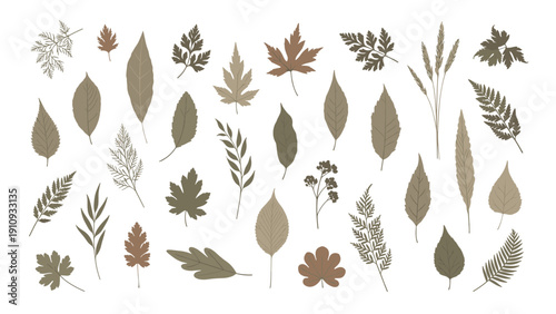 Comprehensive assortment of various tree and plant leaves in earthy tones provides a versatile set of botanical elements for design.