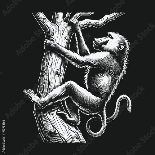 Detailed Illustration of a Baboon Climbing a Tree.