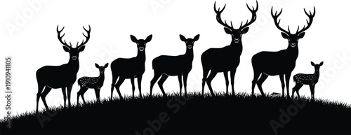 Silhouette illustration of deer family on grassy hill, group of stags, does, and fawns in natural wildlife scene for artistic and educational stock content
