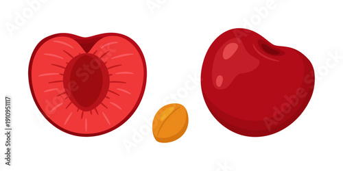 Whole red cherry, half cherry and separate pit. cherrys anatomy. Hand drawn trendy flat style. Perfect for food design, packaging, menus, stickers, and summer fruit graphics. Vector illustration