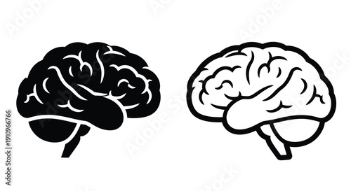 Two human brains one dark and one light in a graphic silhouette