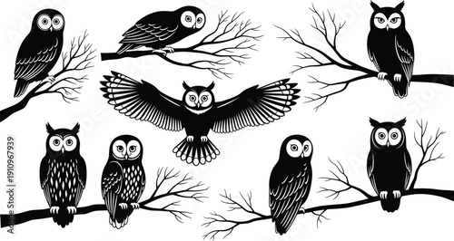 Set of Black Silhouette Vector Illustrations Featuring Owls Perched on Tree Branches for Nature Wildlife Halloween Mystery and Gothic Graphic Design Projects