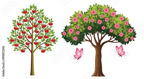Blooming Trees: A vibrant illustration showcasing two flourishing trees, one laden with ripe red fruit and the other adorned with delicate pink blooms and accompanied by fluttering butterflies.
