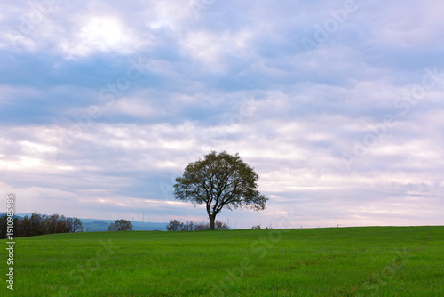 A tranquil rural landscape with tree under a dramatic sky