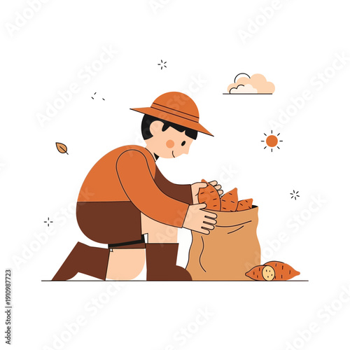 Farmer Harvesting Fresh Sweet Potatoes From The Garden