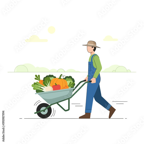 Farmer Transporting Freshly Harvested Organic Vegetables in Wheelbarrow Across Open Field